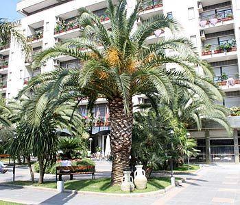 Rondo' Hotel Bari Exterior foto
